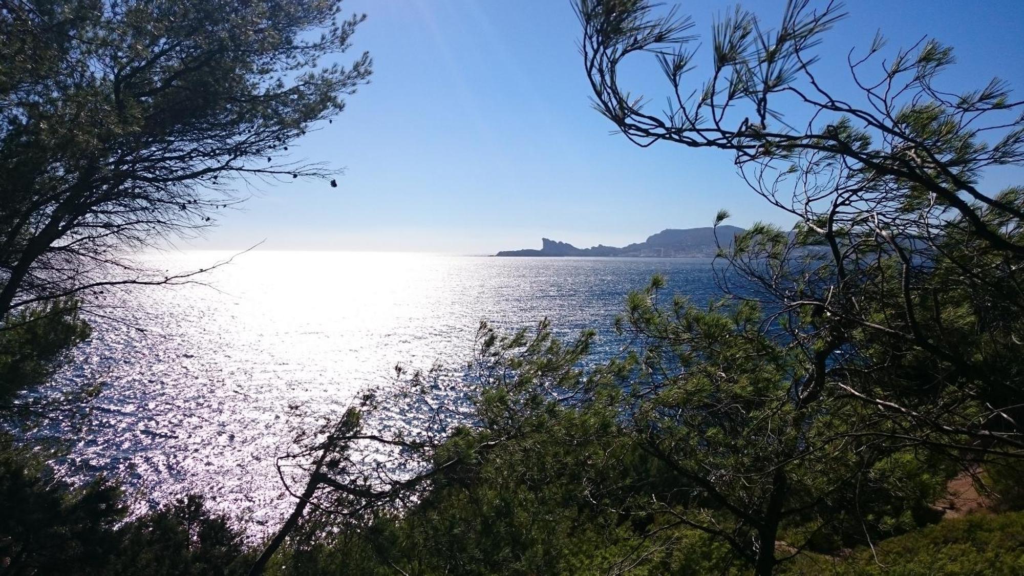 Studio Del Sol Saint-Cyr-sur-Mer Dış mekan fotoğraf