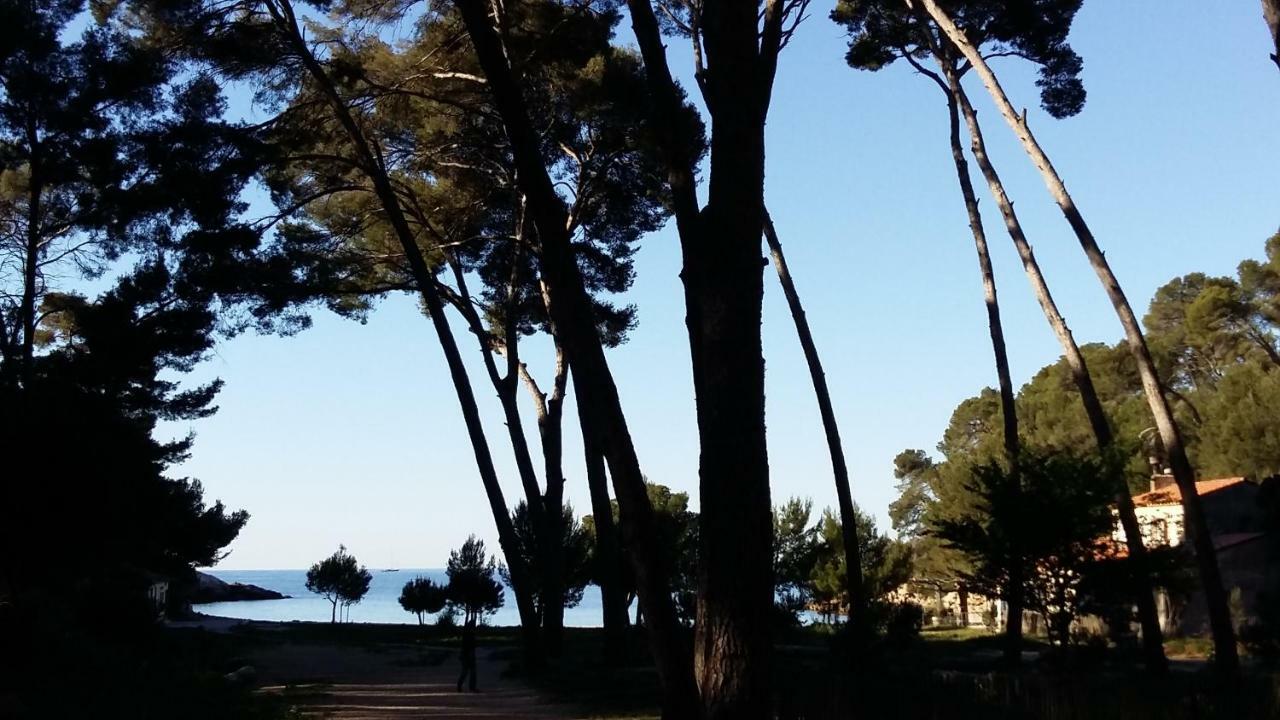 Studio Del Sol Saint-Cyr-sur-Mer Dış mekan fotoğraf
